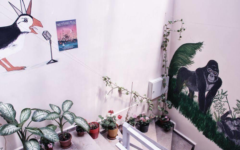 Puffin Boutique - Istanbul Hostel Εξωτερικό φωτογραφία